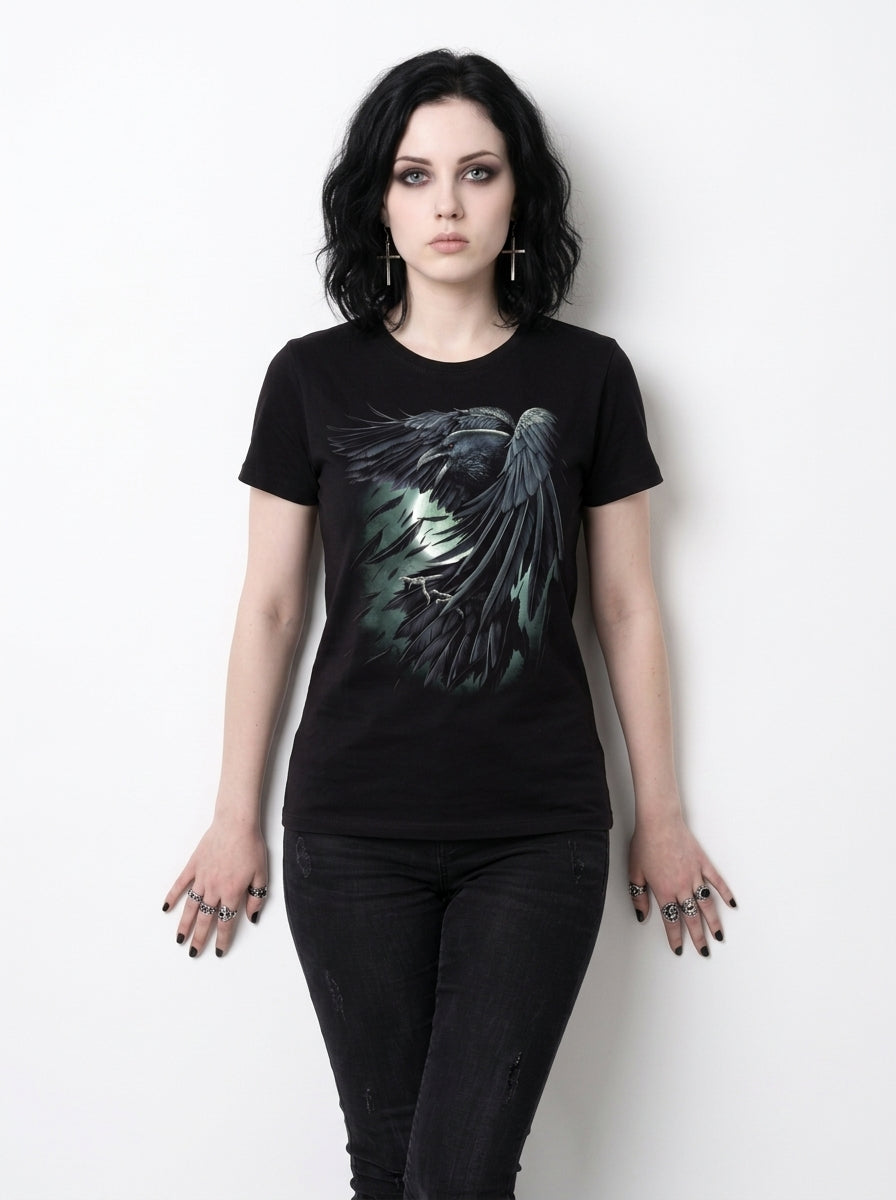Model view - F775 - 4133