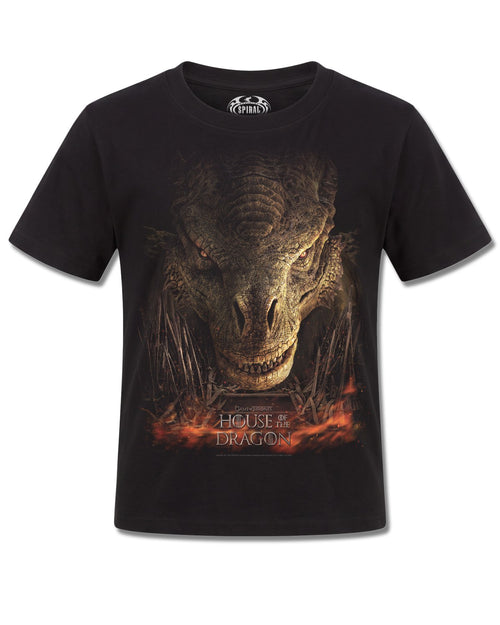 House Of The Dragon Dragon Throne (House Of The Dragon) design, front view on Black K121, Rock Off Retail official merch
