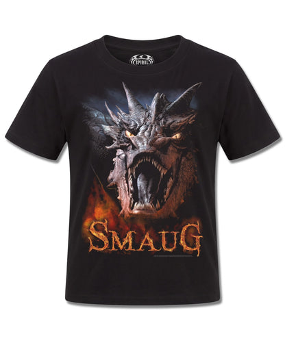 The Lord Of The Rings The Hobbit Smaug (The Lord Of The Rings) design, front view on Black K121