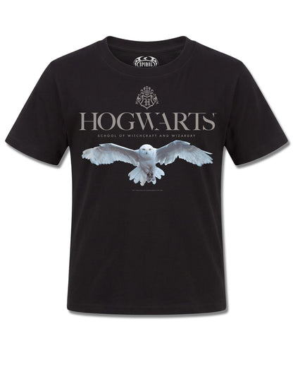 Harry Potter Hedwig Hogwarts Logo (Harry Potter) design, front view on Black K121, Rock Off Retail official merch