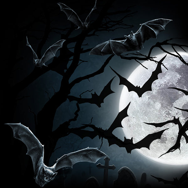 Bats