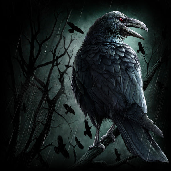 Crow