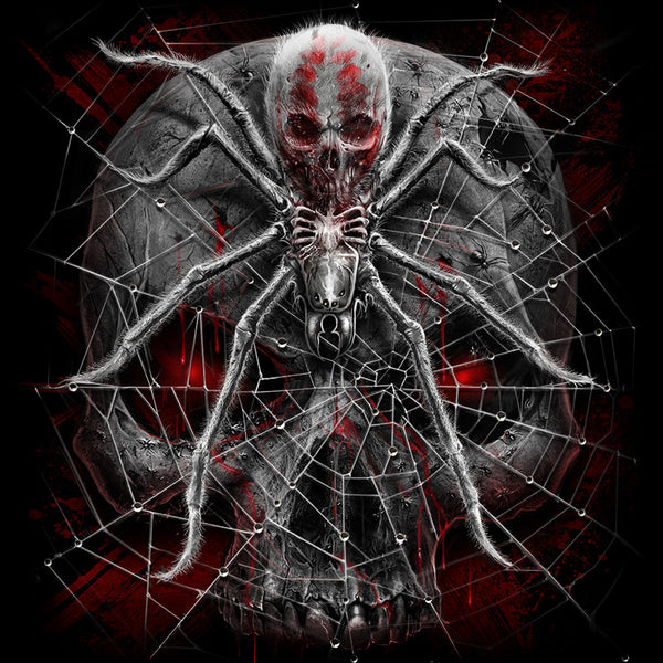 Spider