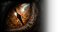Lord Of The Rings hub logo (original)