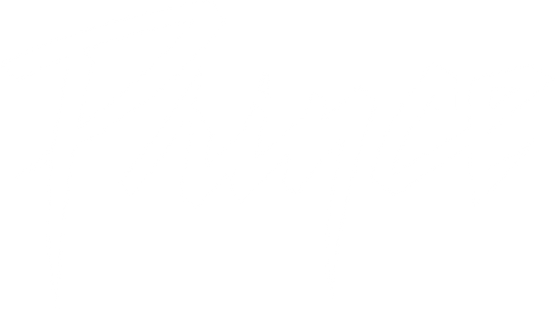 Prince hub logo